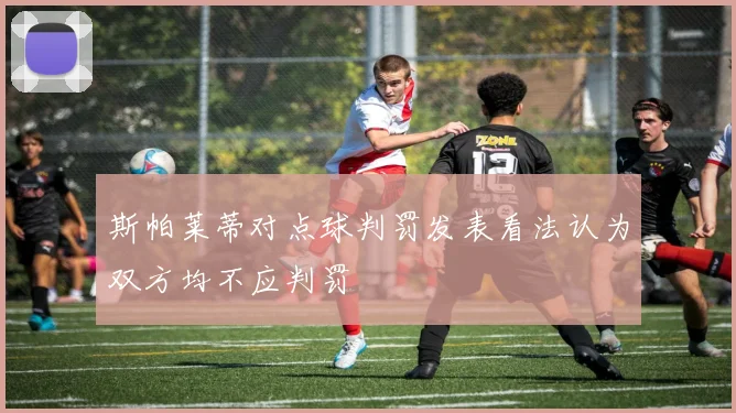斯帕莱蒂对点球判罚发表看法认为双方均不应判罚