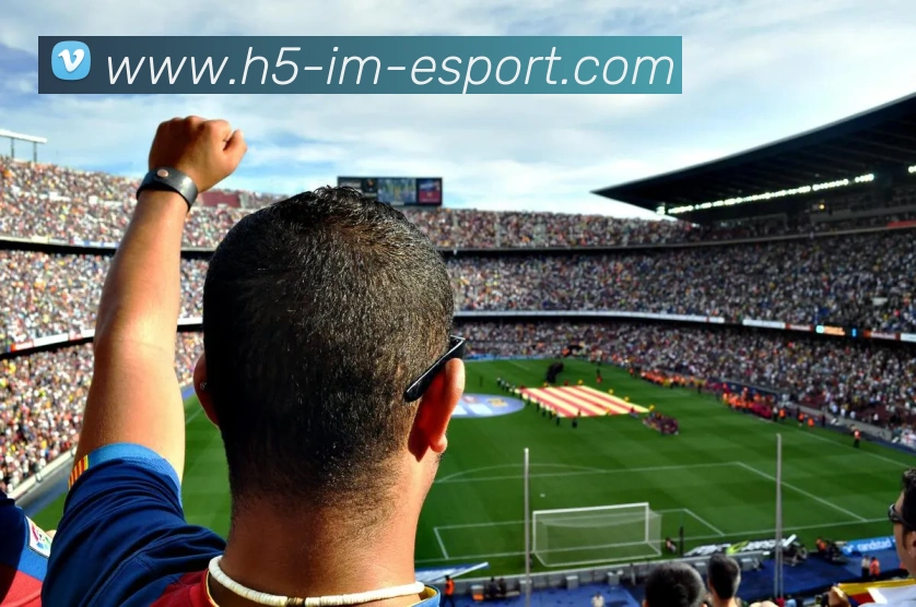 IM电竞服务体系